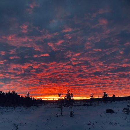 Pasvik Taiga Hotel Skogfoss Luaran gambar