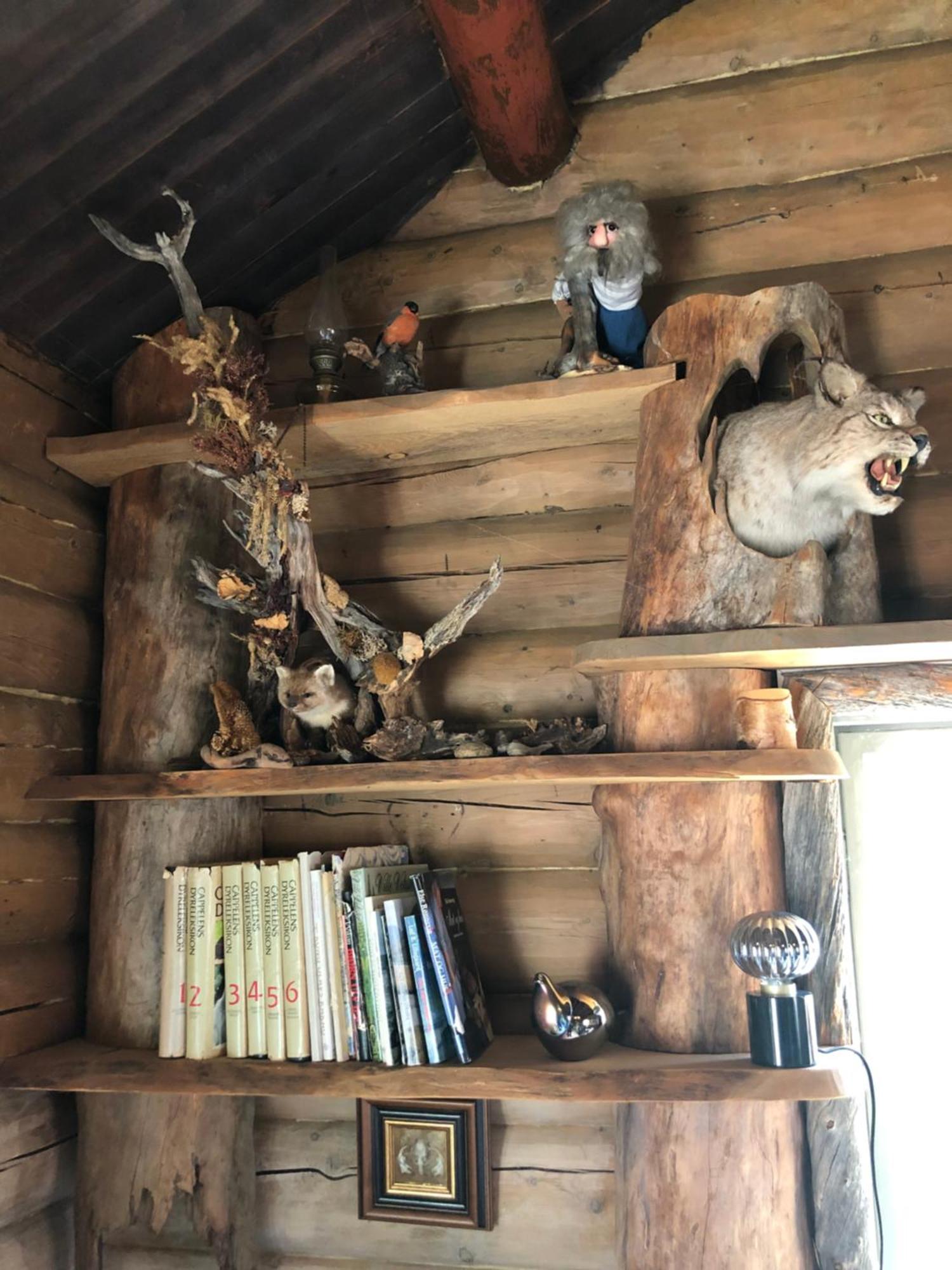 Pasvik Taiga Hotel Skogfoss Luaran gambar