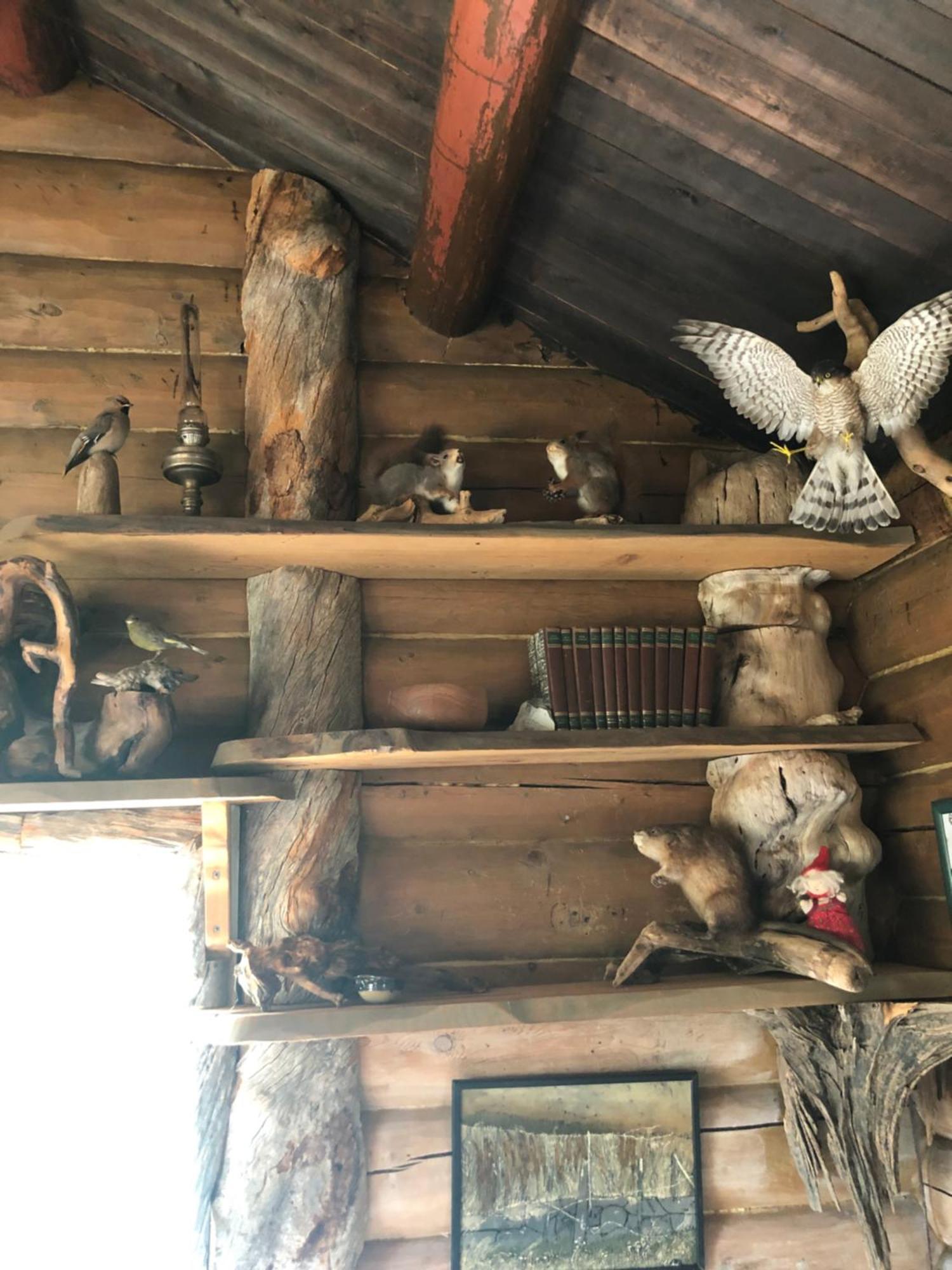 Pasvik Taiga Hotel Skogfoss Luaran gambar