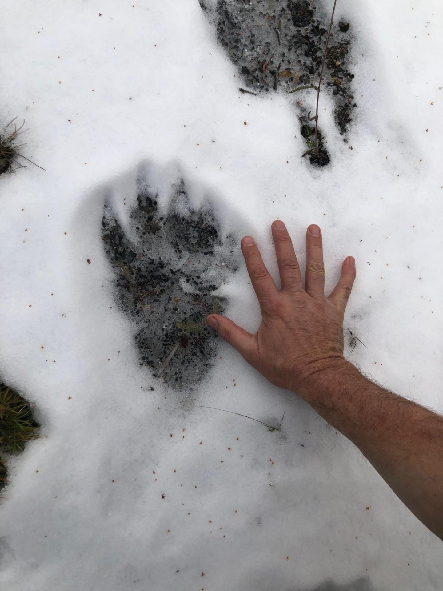 Pasvik Taiga Hotel Skogfoss Luaran gambar