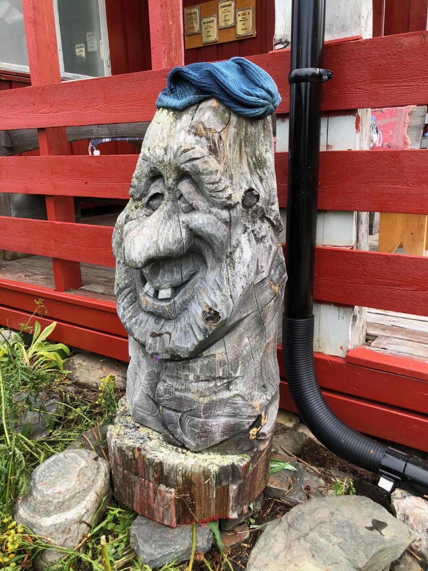 Pasvik Taiga Hotel Skogfoss Luaran gambar